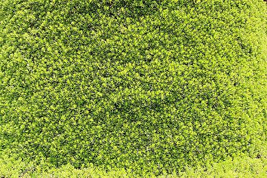 低至一五折！KRAFTON首次参与Steam发行商特卖活动