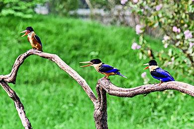 TGA 2022：《Scars Above》公布新预告 试玩版现已上线