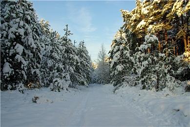 《酉闪町2昆仑灵动》今日正式发售！来体验以西门町为主题的冒险故事吧！